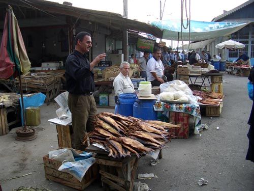 rasht, fischmarkt